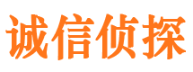 萝岗外遇出轨调查取证